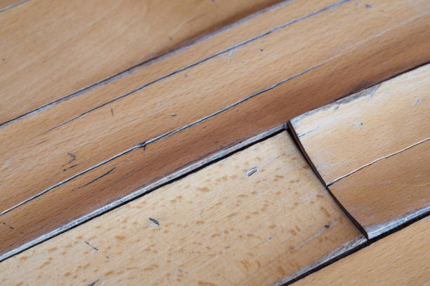 The All Pro Difference: Why Choose Us for Your Wood Floor Water Damage Needs
